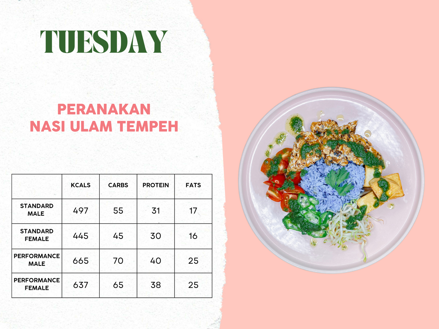 5th - 9th May Meal Plan C