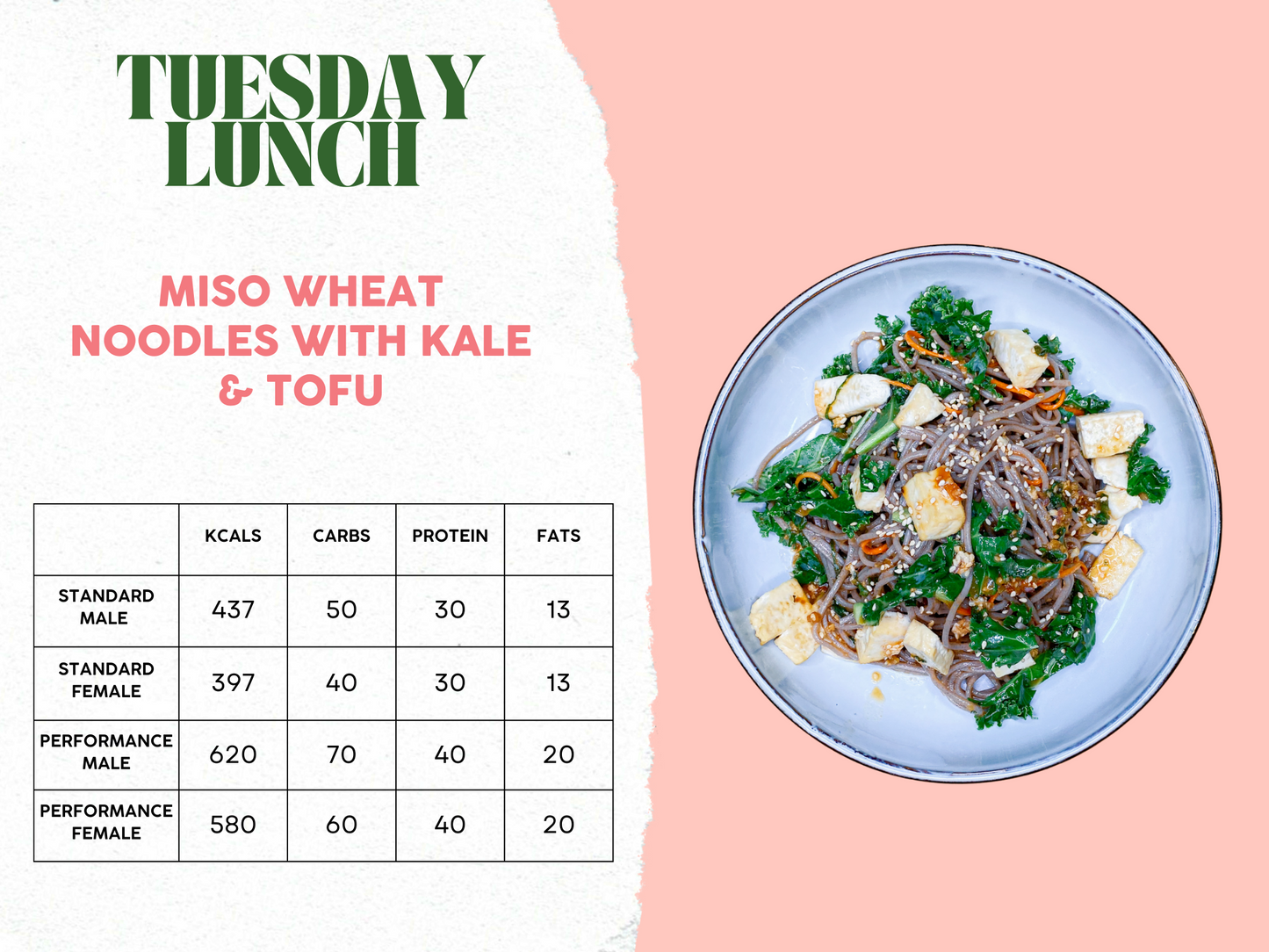 20th - 24th November Meal Plan B
